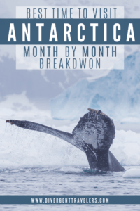 Best Time to Visit Antarctica: MONTH by MONTH Breakdown