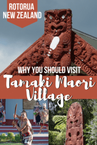 Is the Tamaki Maori Village Worth It? Complete Review!