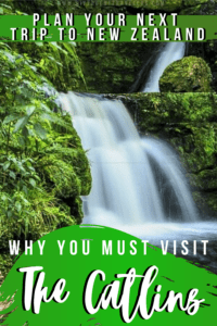 The Catlins, New Zealand: 7 Best Places to Visit (Plus Travel Tips!)