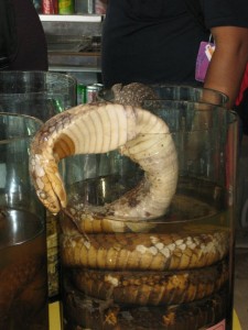 167128_10150108007557533_6625313_n