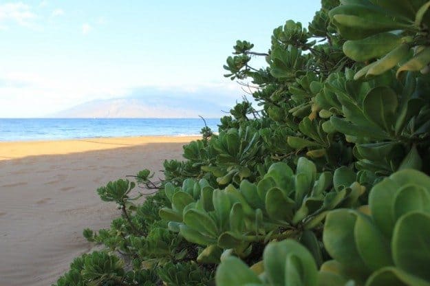 South Maui Wailea Beach