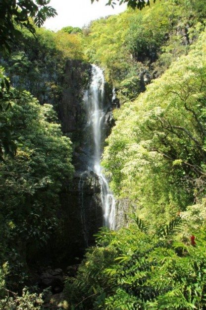 Road to Hana Wailua Falls Maui