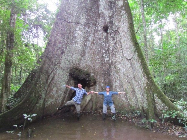 Day Hike through the Amazon Jungle- Huge Trees! Wasai Tambopata Lodge Peru
