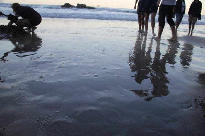 Boiling Water Coming Up Through the Sand on the Beach Hot Water Beach