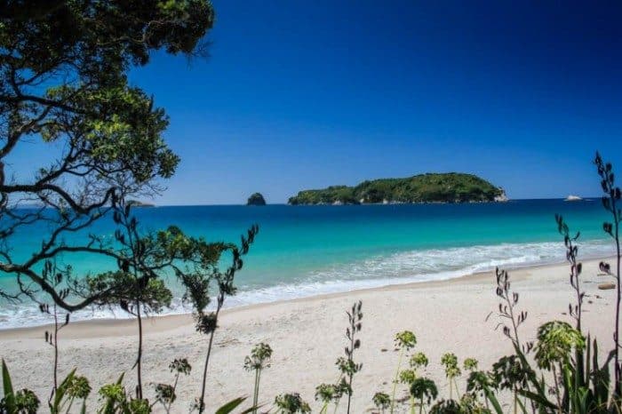 Hahei Beach Cathedral Cove