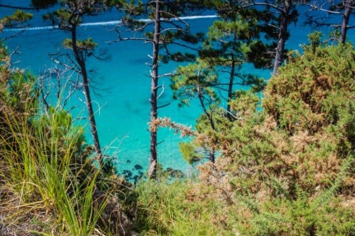 Views from the trail to Cathedral Cove Cathedral Cove
