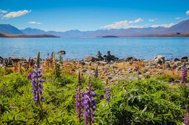 Lake Tekapo