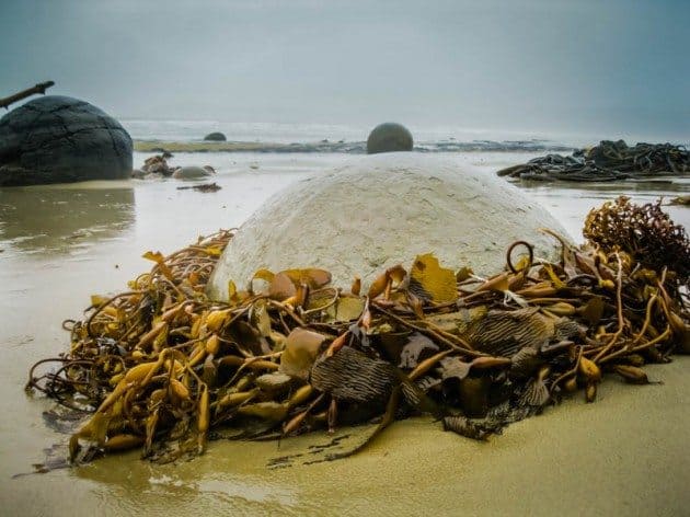 Moeraki Boulders