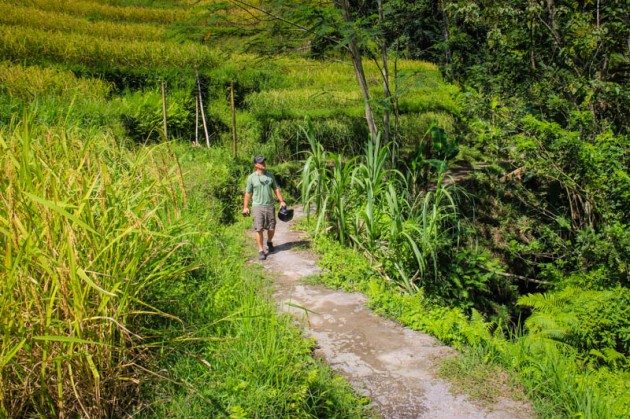 Tegalalong Rice Terraces Ubud Bali