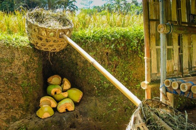 Tegalalong Rice Terraces Ubud Bali