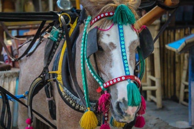 Gili Trawangan Indonesia Gili T