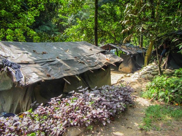 Thomas Jungle Tours Bukit Lawang