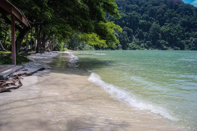 Monkey Beach Jungle Hike Through Penang National Park Divergent Penang National Park Monkey Beach Trek Malaysia
