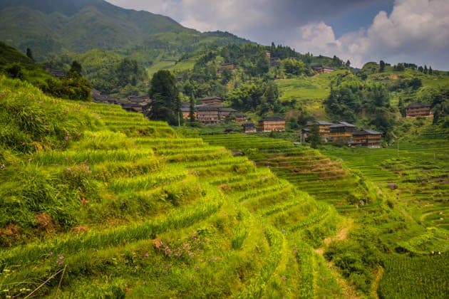 Hiking rice terraces Guilin China