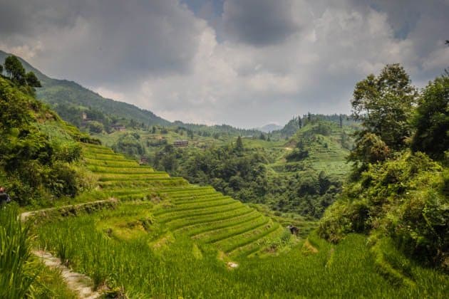 Hiking rice terraces Guilin China