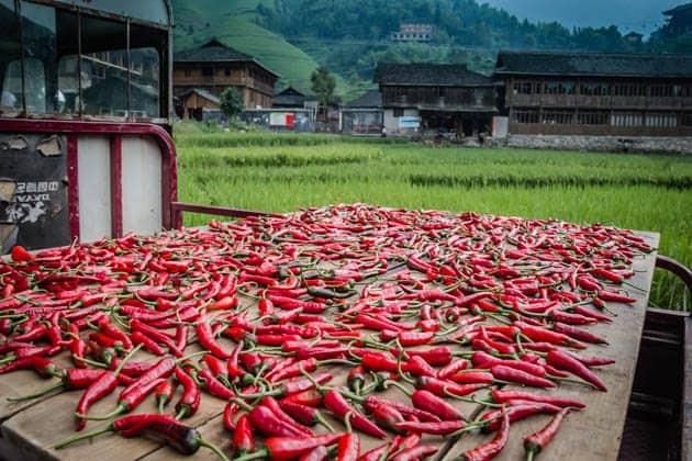 Hiking rice terraces Guilin China