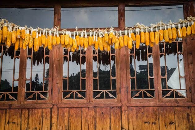 Hiking rice terraces Guilin China