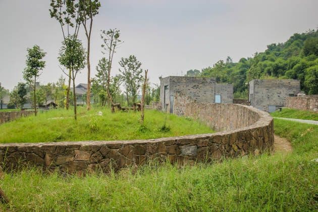 Giant Panda Volunteer Program China