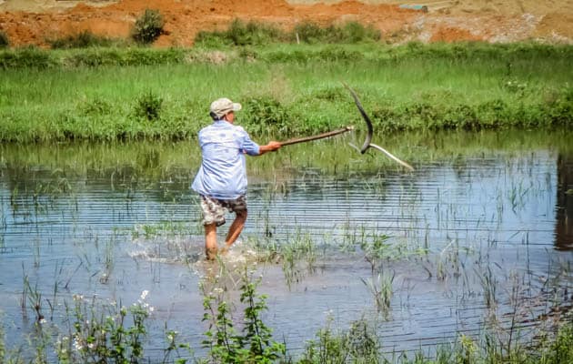Vietnam Snake Man