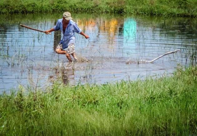 Vietnam Snake Man