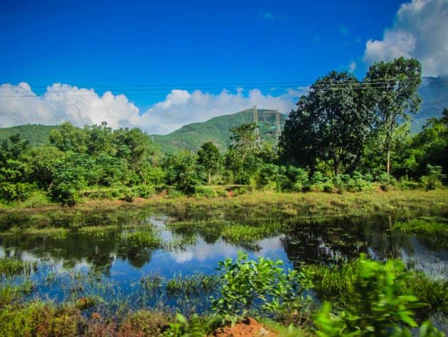Vietnam's Great Adventure- The Buffalo Run |Divergent Travelers