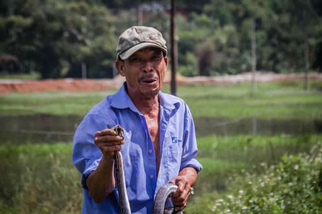 Vietnam Snake Man