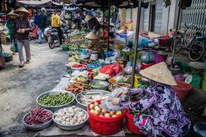 Mekong Delta Mekong Eyes Vietnam