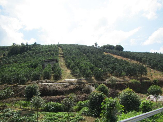 Yangshuo China Scooter Adventure