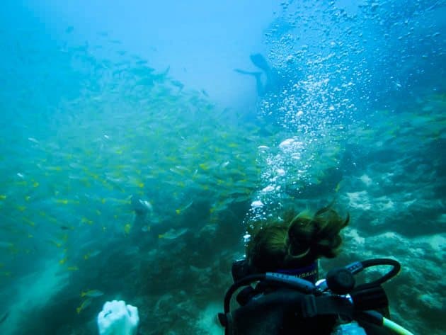 Sipadan Island Borneo
