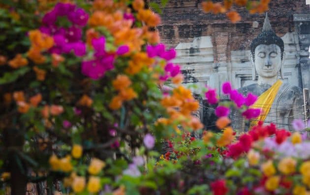 Buddha face and Flowers Ayutthaya Thailand Photos