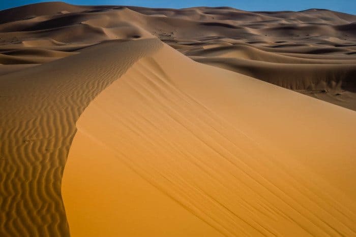 What countries does the Sahara Desert cover?