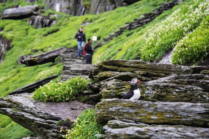 Skellig Michael Wild Atlantic Way Ireland Photos