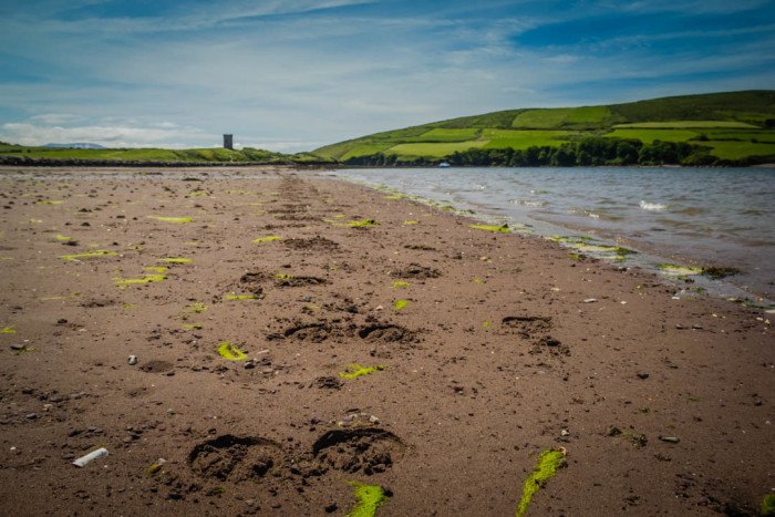 Horseback Riding Dingle Ireland