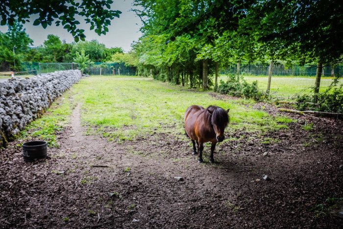 Bunratty Castle Folk Park Ireland Photos