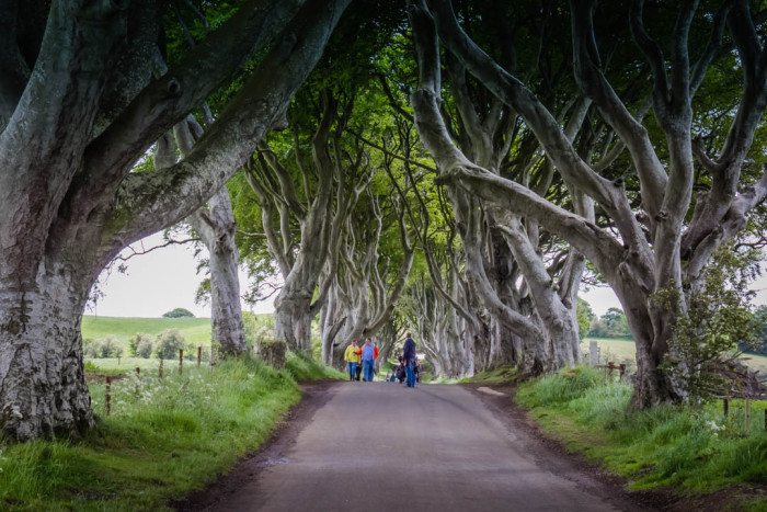 Dark Hedges Game of Thrones- Causeway Coastal Route