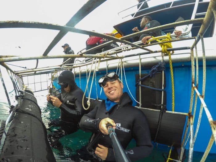 Great White Shark Cage Diving South Africa