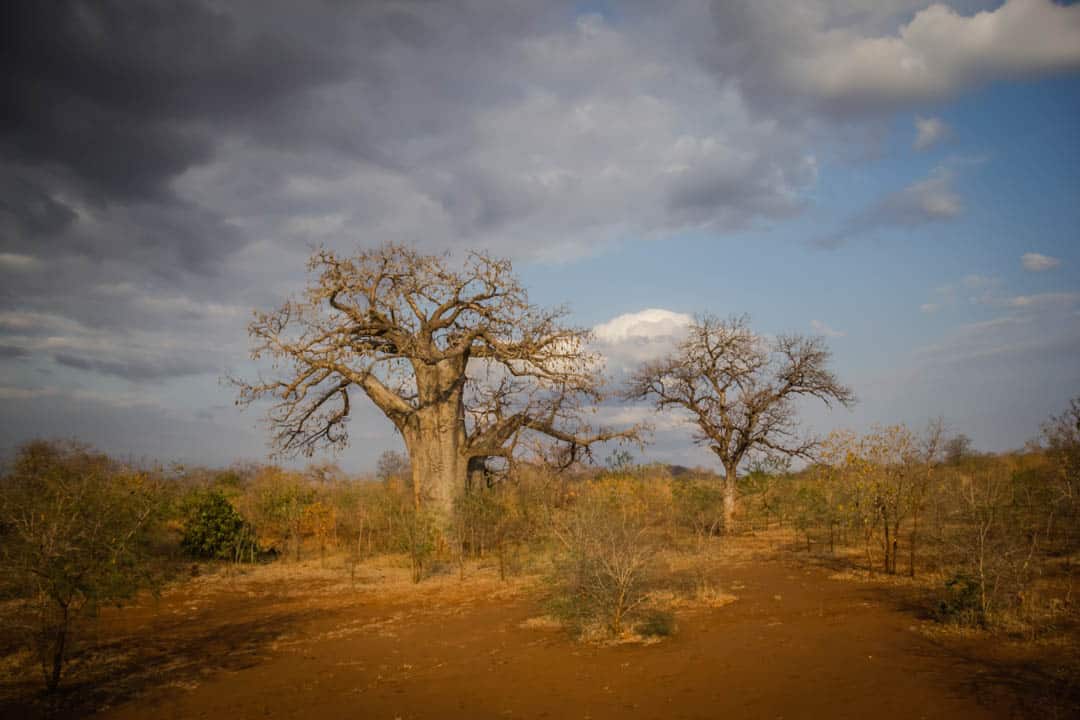 Oasis Overland Tanzania