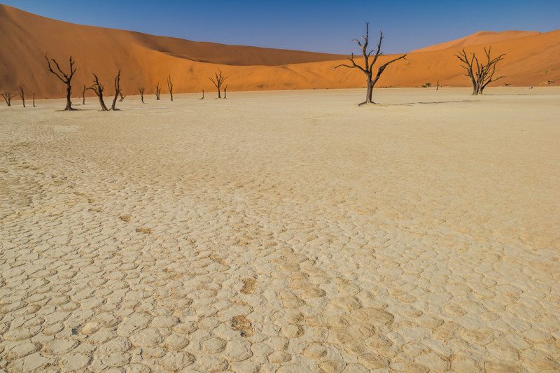 Cracked landscape of Deadvlei Namibia