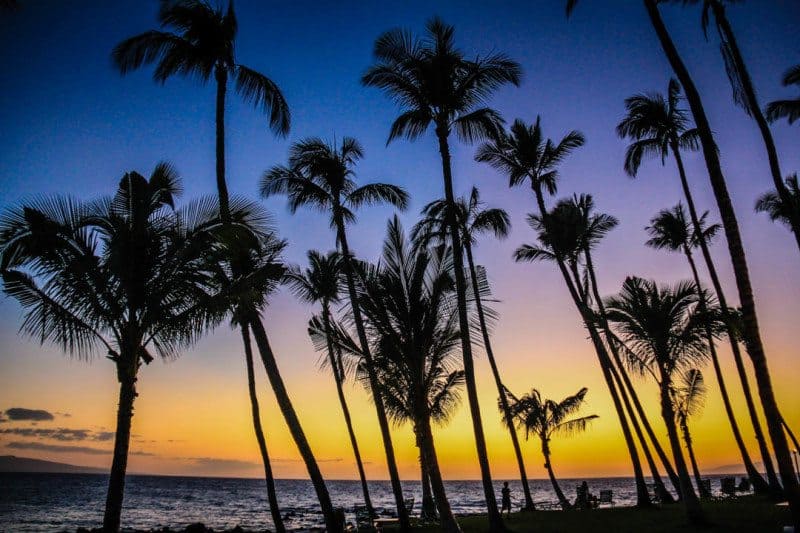 Viaggiare senza passaporto STATUNITENSE - Tramonto ai tropici