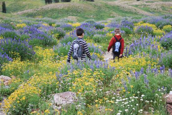 Heber Valley Utah Hiking