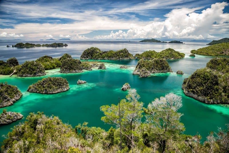 Raja Ampat Islands- Guide to Paradise | Divergent Travelers