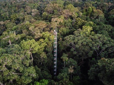 posada amazonas - peru - lina stock