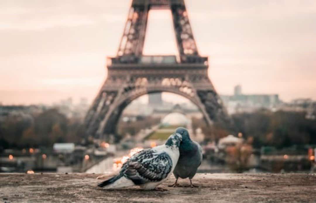 Stunning Places to Visit in Paris - Our Favorites Revealed