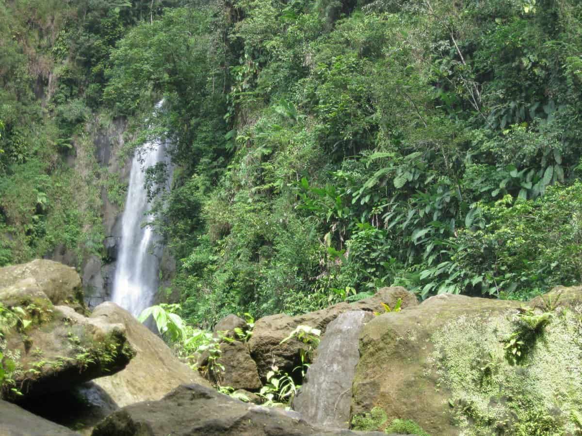 6 Epic Things to do in Roseau Dominica (During a Cruise Stop!)