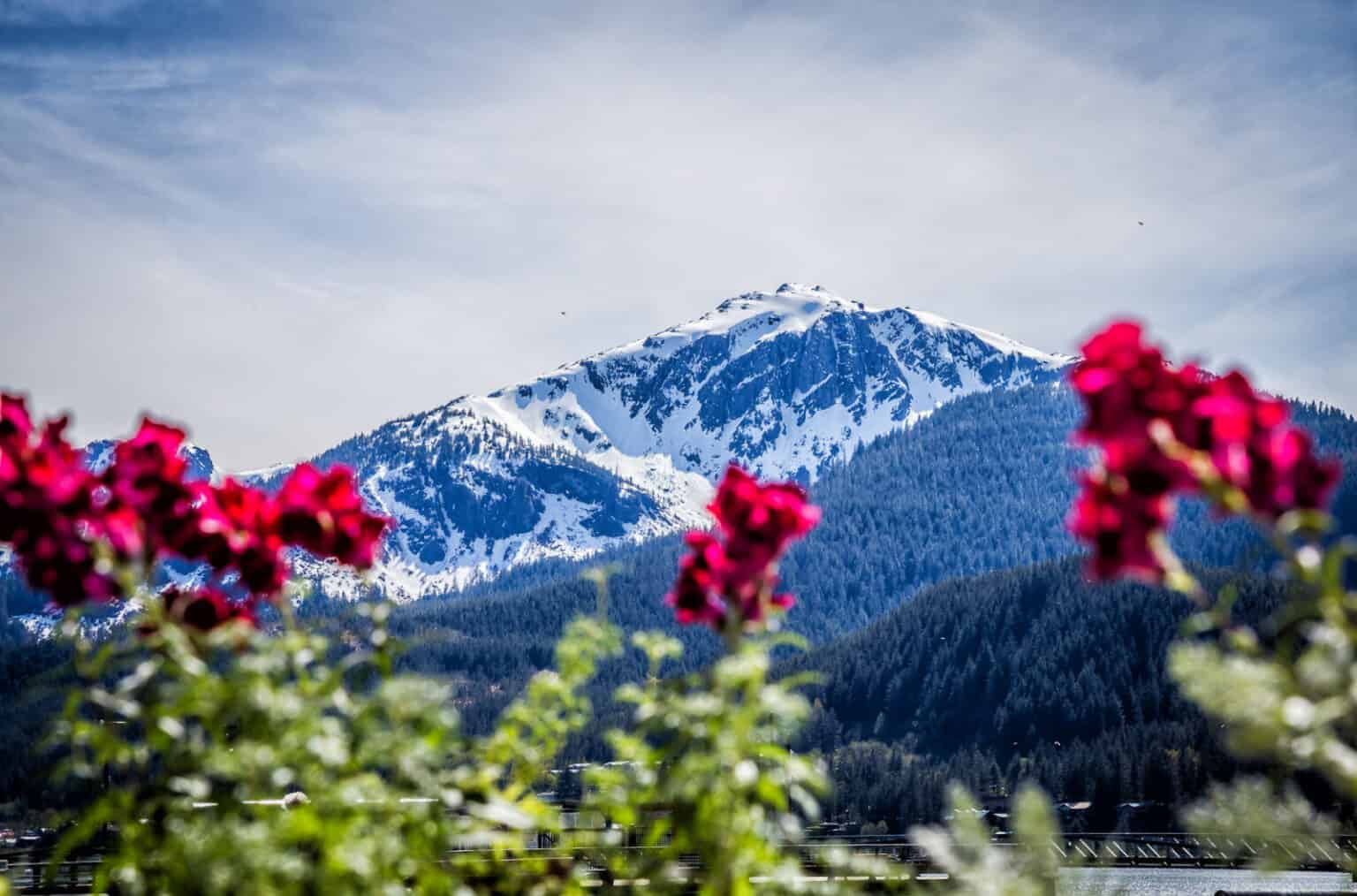 Best Time To Visit Alaska Month by Month Breakdown (2023)