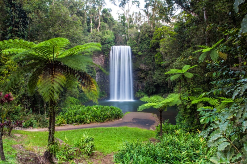 Are the Atherton Tablelands in Queensland Worth A Visit?