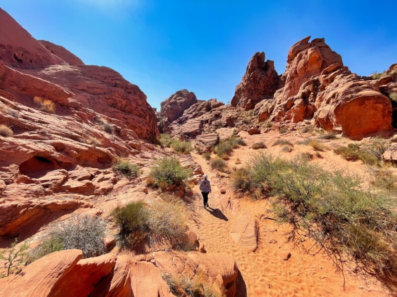 Can't Miss Hikes in Valley of Fire State Park