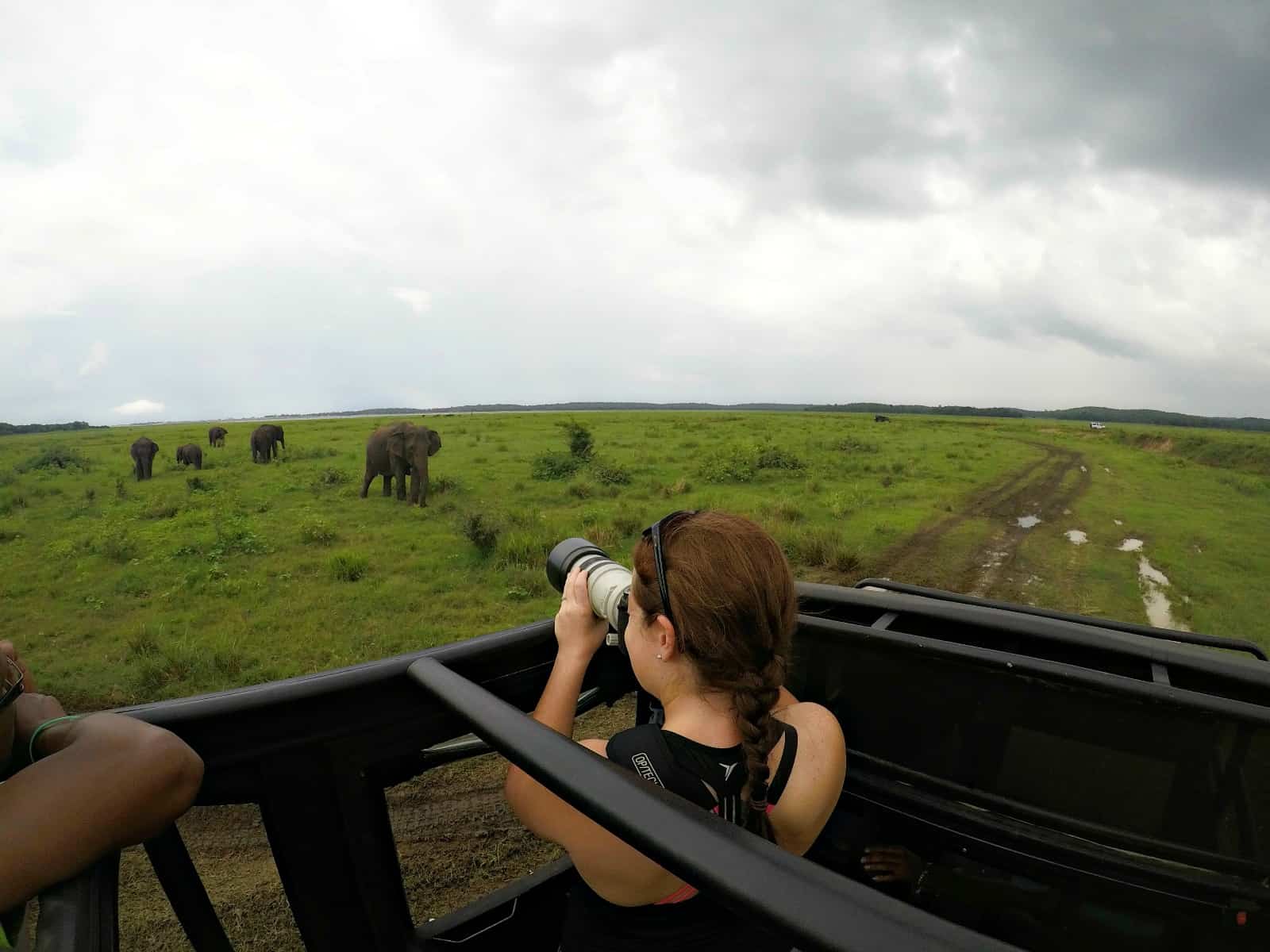 Best Sri Lanka Safari: Comparison guide