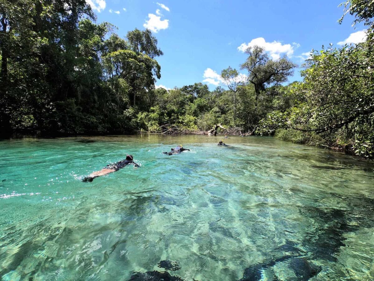 The best time to visit the Pantanal - Bonito Way