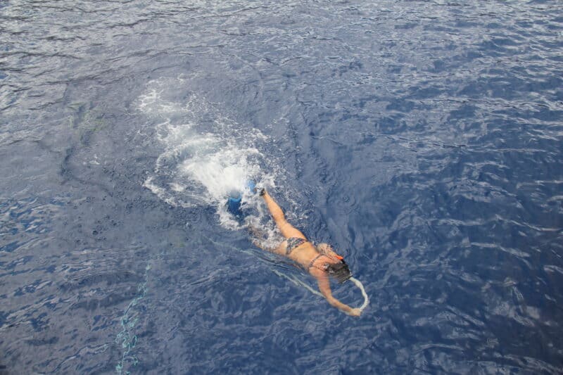 Molokini snorkeling Maui